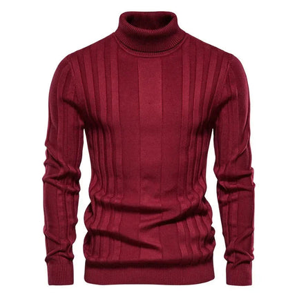 Suéter de cuello alto para hombre Attlan